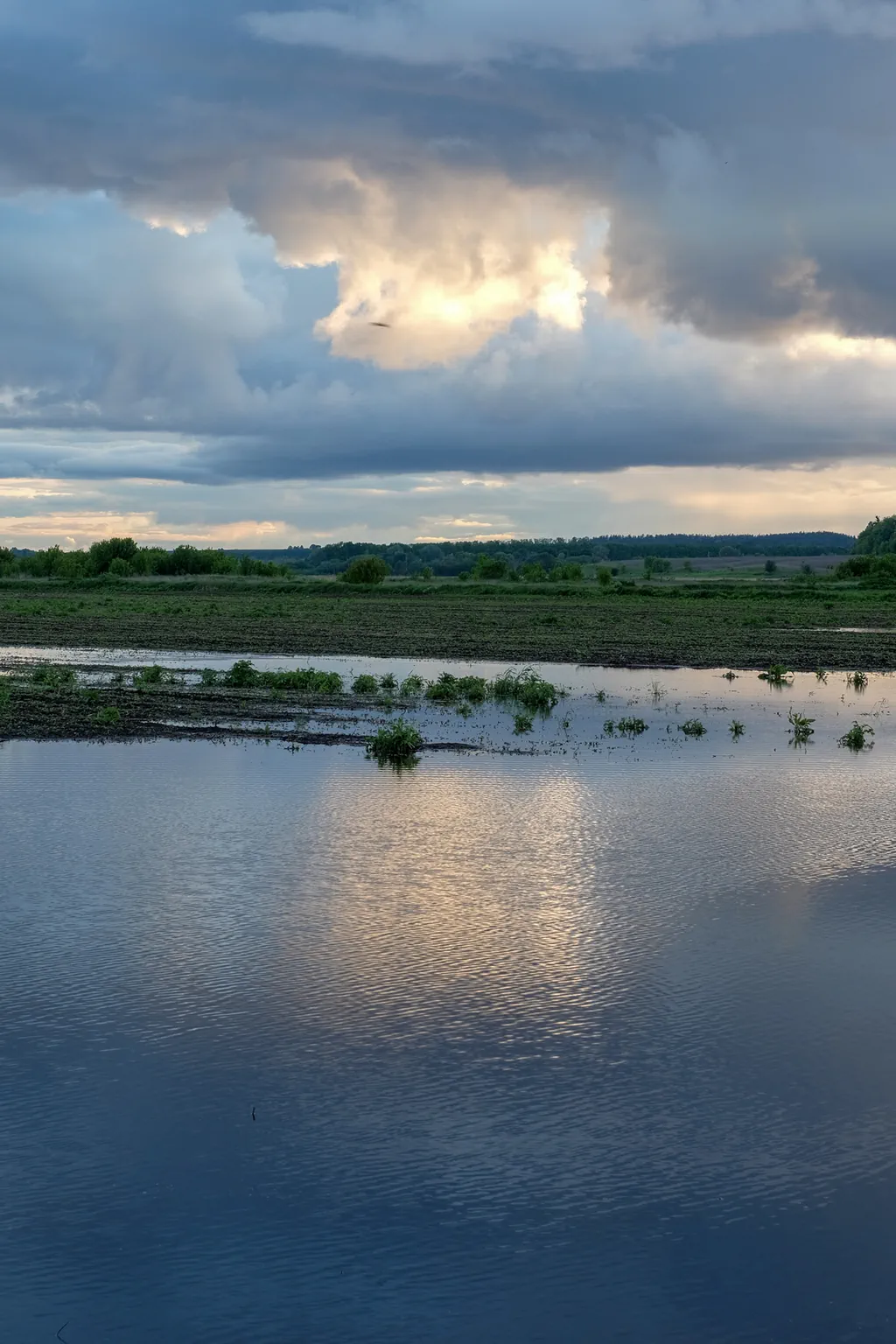 Flooded agricultural field reflecting dramatic storm clouds and golden sunlight